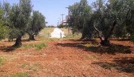 Земля за 1 100 000 евро в Ситонии, Греция