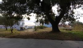 Земля за 250 000 евро в Ситонии, Греция