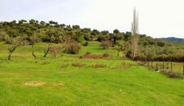 Земля за 200 000 евро в Ситонии, Греция