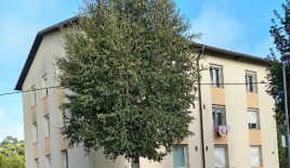 Квартира за 220 000 евро в Любляне, Словения