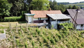 Дом за 53 000 евро в Литие, Словения