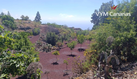 Дом за 500 000 евро на Тенерифе, Испания