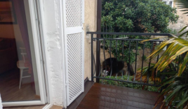 Дом за 360 000 евро в Опатии, Хорватия