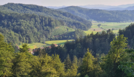 Ферма за 380 000 евро в Шкофльице, Словения