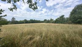 Земля за 1 250 000 евро в Комене, Словения