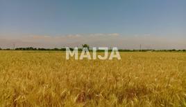 Земля за 19 500 000 евро в Румынии