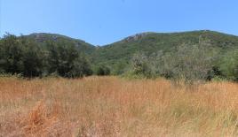 Земля за 220 000 евро на Корфу, Греция