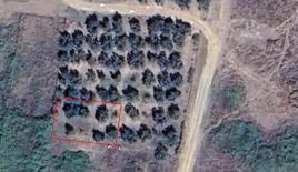 Земля за 150 000 евро в Ситонии, Греция