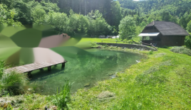 Ферма за 740 000 евро в Дравограде, Словения