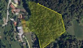 Ферма за 195 000 евро в Литие, Словения