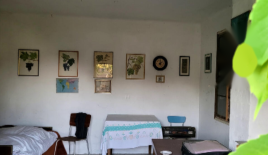 Дом за 60 000 евро в Брежице, Словения