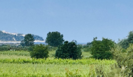 Дом за 528 000 евро в Пиране, Словения