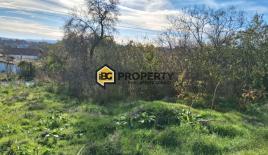 Земля за 34 990 евро в Бяле, Болгария