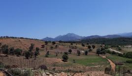 Земля за 853 000 евро в Ираклионе, Греция