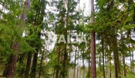 Земля за 49 440 евро в Латвии