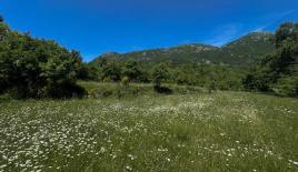 Земля за 135 000 евро в Добра Воде, Черногория