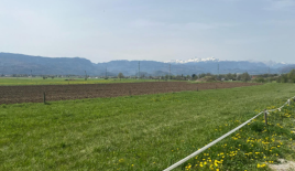 Земля за 260 000 евро в Тржиче, Словения