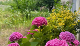 Квартира за 180 000 евро в Гориции, Италия