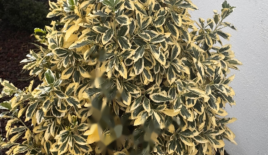 Квартира за 1 830 000 евро в Любляне, Словения