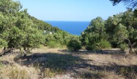 Земля за 180 000 евро на Кассандре, Греция