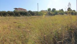 Земля за 250 000 евро на Корфу, Греция