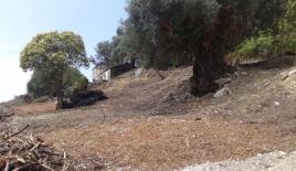 Земля за 550 000 евро на Корфу, Греция