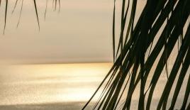 Вилла за 280 000 евро в Алании, Турция