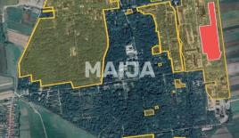 Земля за 50 000 000 евро в Румынии