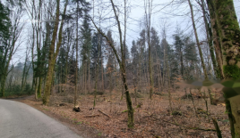 Земля за 98 560 евро в Радовлице, Словения