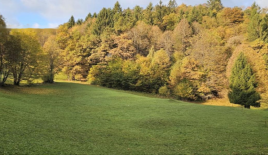 Земля за 194 097 евро в Кране, Словения