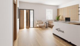 Офис за 990 000 евро в Любляне, Словения