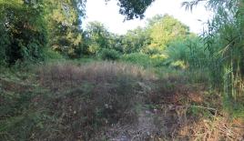 Земля за 300 000 евро на Корфу, Греция