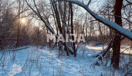 Земля за 36 000 евро в Латвии