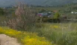 Земля за 45 000 евро в Улцине, Черногория