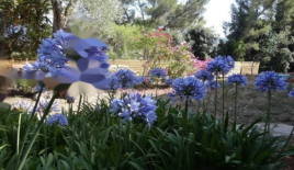 Квартира за 1 040 000 евро в Каннах, Франция