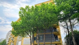 Студия за 52 500 евро в Черрете, Албания