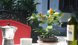 Квартира за 370 000 евро в Опатии, Хорватия