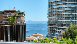 Квартира за 3 850 000 евро в Сен-Романе, Монако