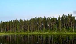 Земля за 165 000 евро в Рованиеми, Финляндия