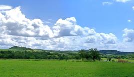 Вилла в Буйе, Хорватия (цена по запросу)