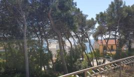 Отель, гостиница в Ровини, Хорватия (цена по запросу)