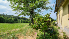 Земля за 300 000 евро в Любляне, Словения