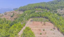 Земля за 23 400 евро в Алании, Турция