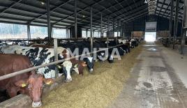 Земля за 2 500 000 евро в Сигулде, Латвия