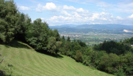 Ферма за 170 000 евро в Преболде, Словения