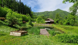 Ферма за 740 000 евро в Равне-на-Корошкем, Словения