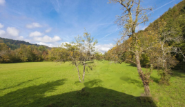 Ферма за 930 000 евро в Рожнике, Словения