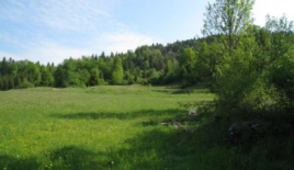 Ферма за 490 000 евро в Церкнице, Словения