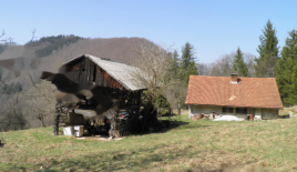 Ферма за 240 000 евро в Жалеце, Словения