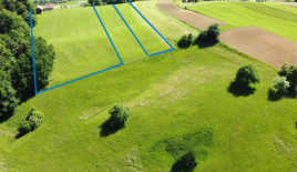 Ферма за 100 000 евро в Шентюре, Словения